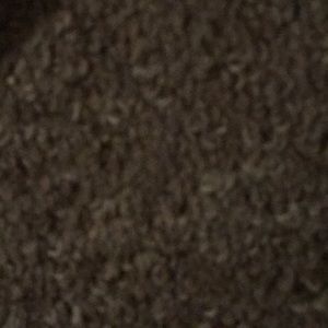 Meet your Posher, Dejanea